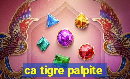 ca tigre palpite