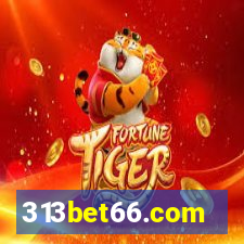 313bet66.com