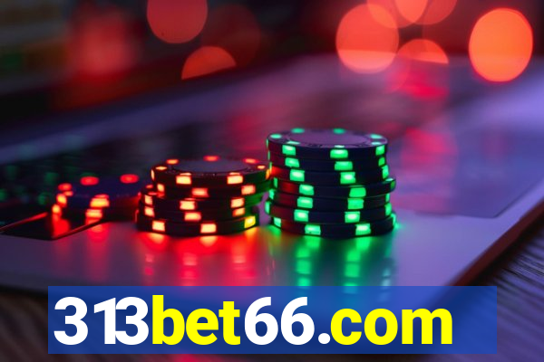 313bet66.com