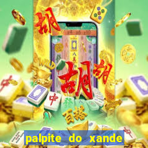 palpite do xande para hoje