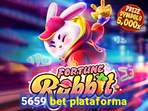 5659 bet plataforma