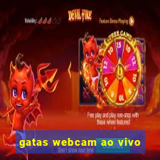 gatas webcam ao vivo