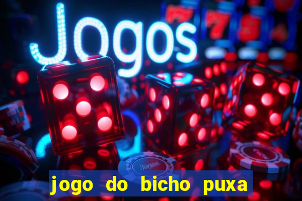 jogo do bicho puxa de dona maria