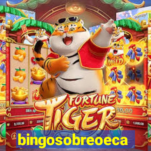 bingosobreoeca