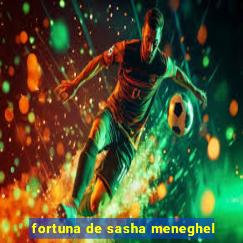 fortuna de sasha meneghel