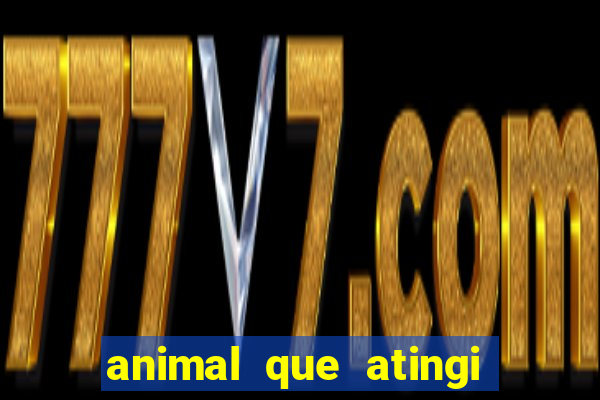 animal que atingi 230 decibeis