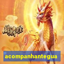 acompanhanteguanambi